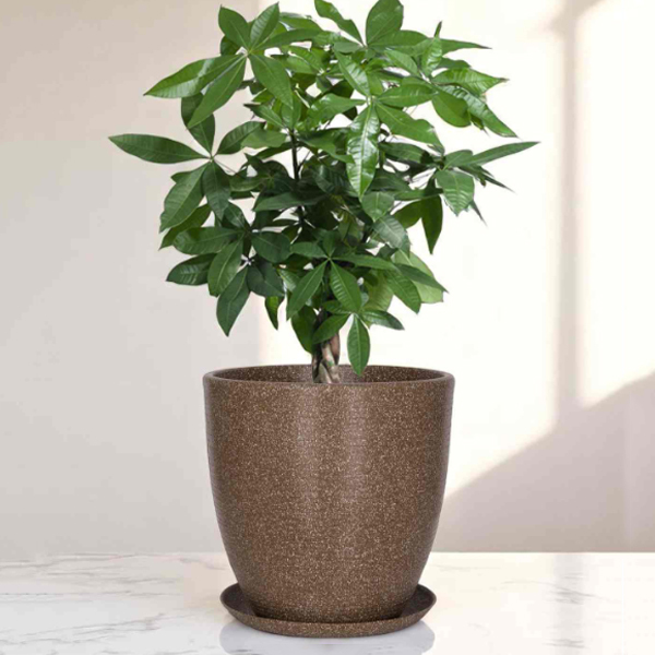 RM3076914.5 Houston Planter
