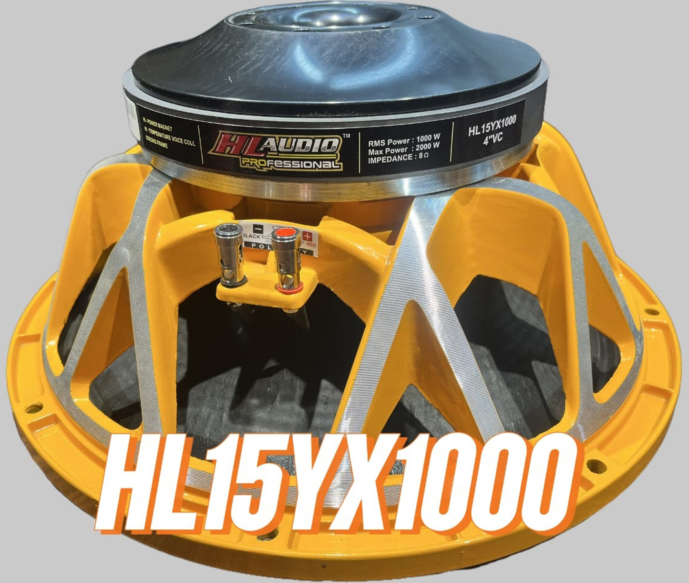 HL15YX1000 DJ Audio Speaker