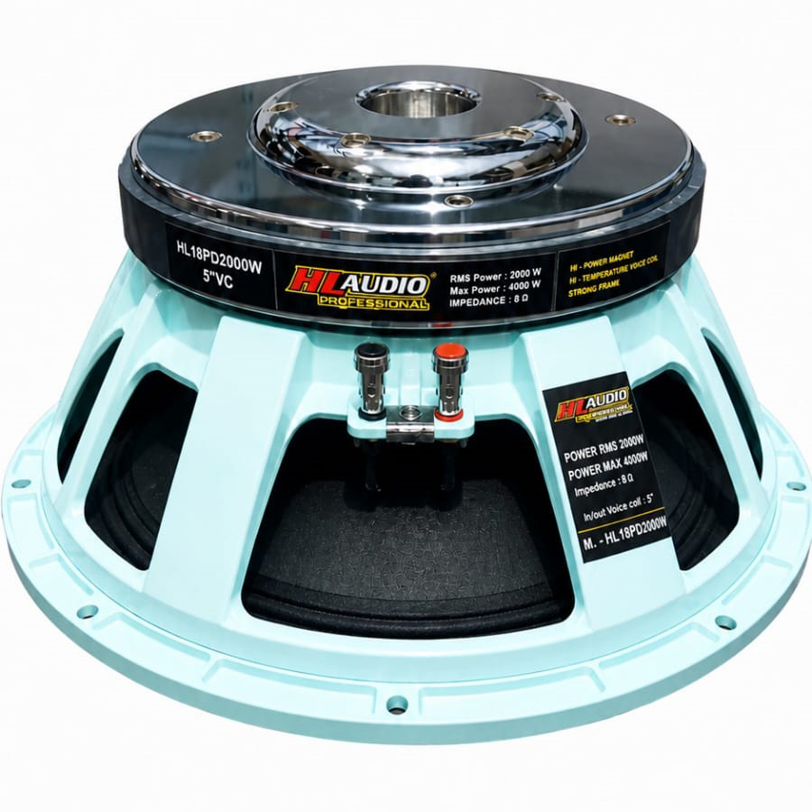 HL18PD2000W Heavy Bass Audio Speaker