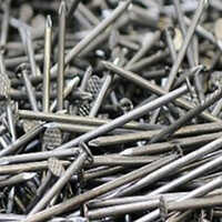 Bulk Common Nail