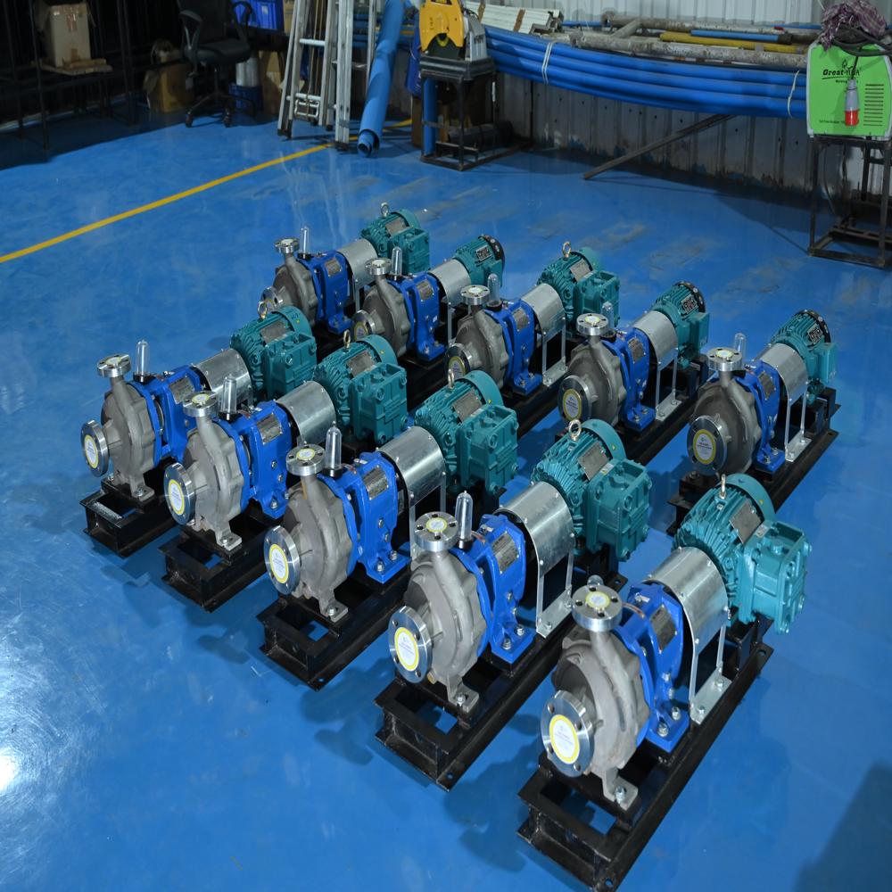 Duplex back pull out pump for chemical process applications