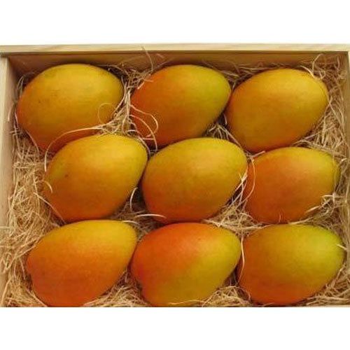 Banganapalli Mango