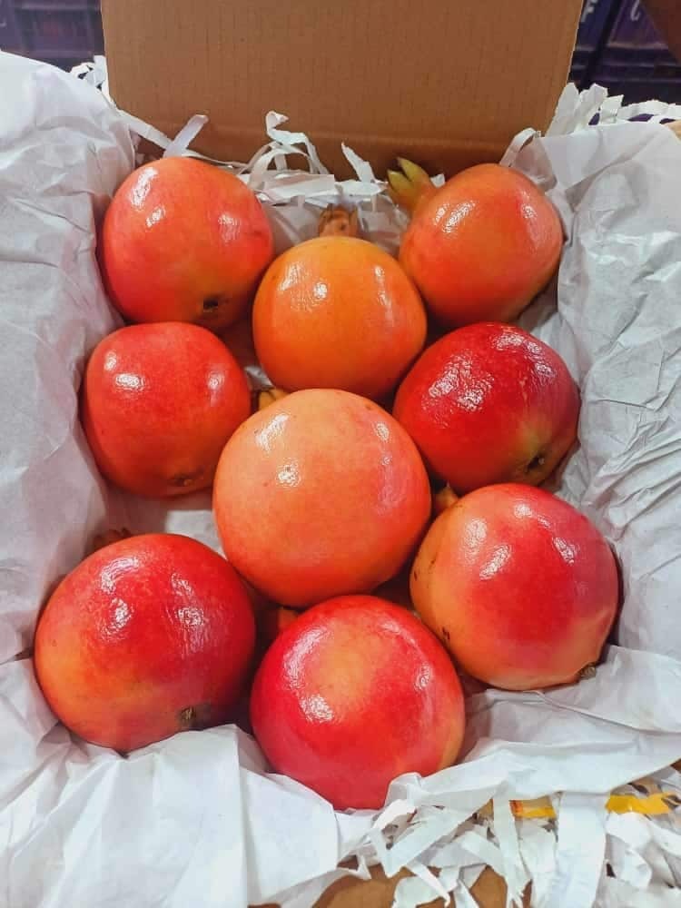 Fresh Pomegranate