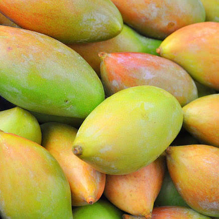 Totapuri Mango