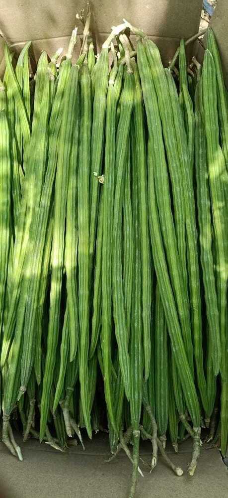 Fresh Drumstick