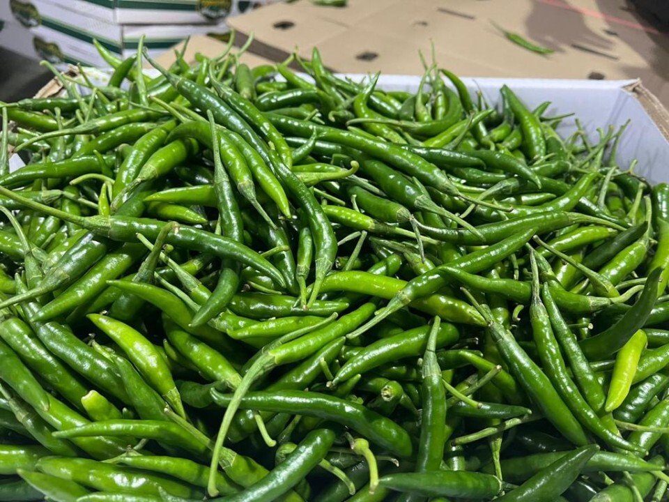 Green Chilli