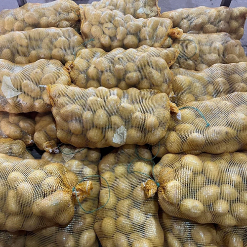 Fresh Potato