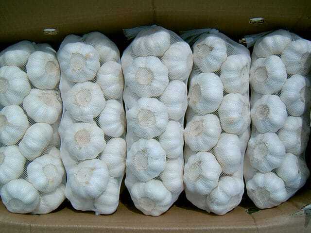 Fresh Garlic
