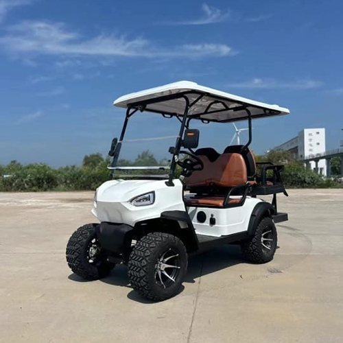 Electric Golf Cart in Jharkhand