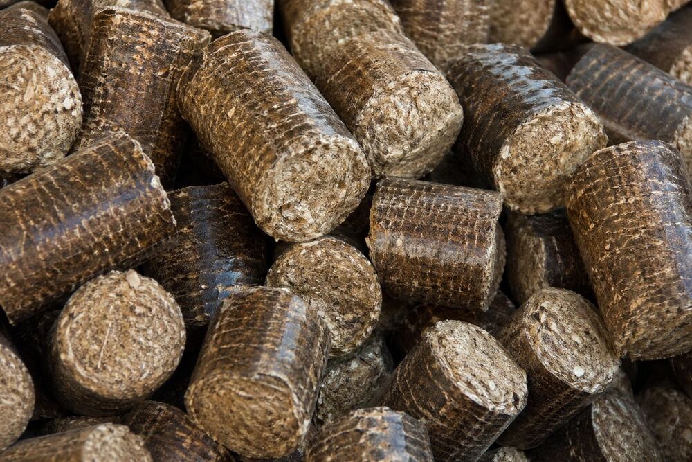 Biomass Briquettes