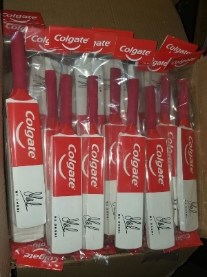 Cricket Mini Bat