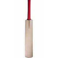 Wooden Cricket Bat