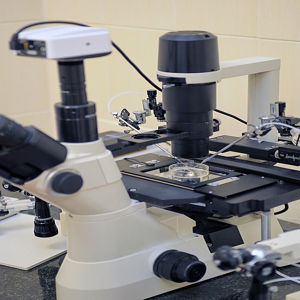Microstructure Testing Services