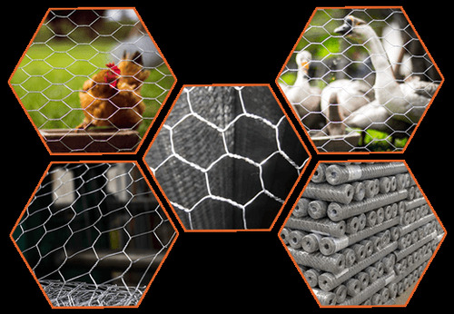 Zinc Coated GI Chicken Mesh