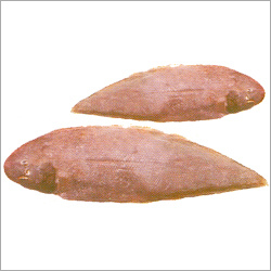 सोल फिश