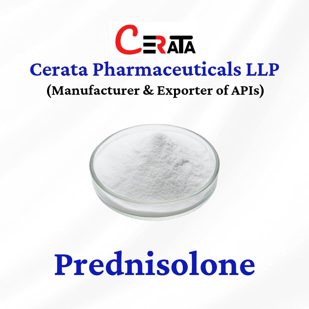 Prednisolone API Powder