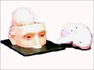 प्रयोगशाला मॉडल