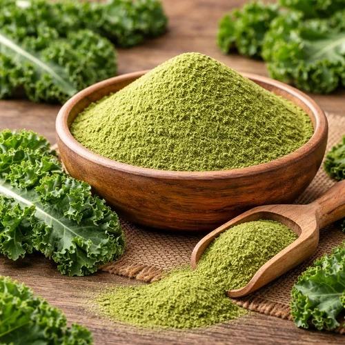 Kale Powder supplier Kale Powder supplier