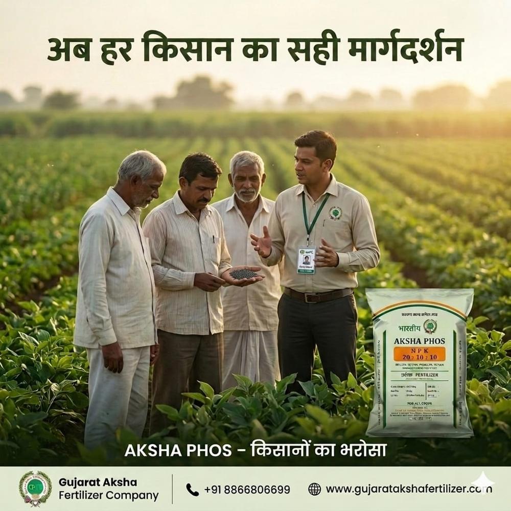 NPK 20 10 10 Fertilizer