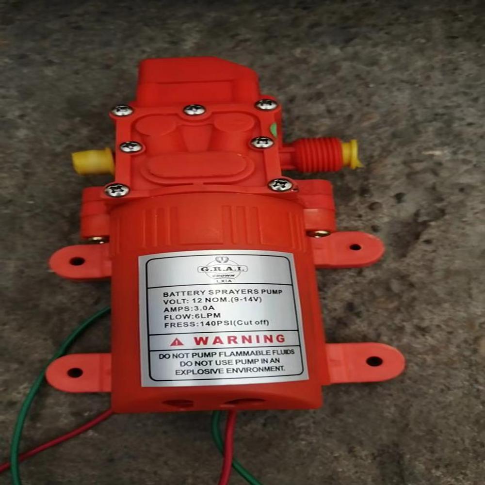 Crown Water Pump Motor