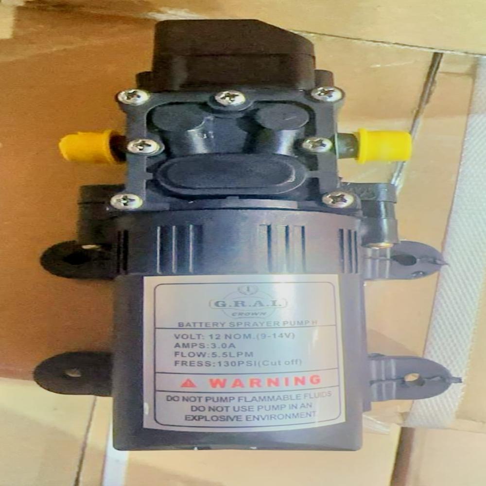 Crown Water Pump Motor