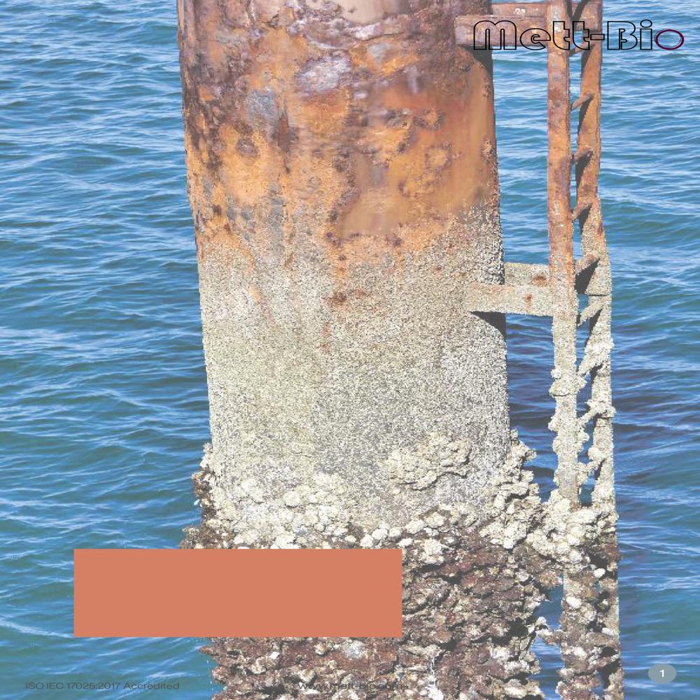 Corrosion Analyzer Services