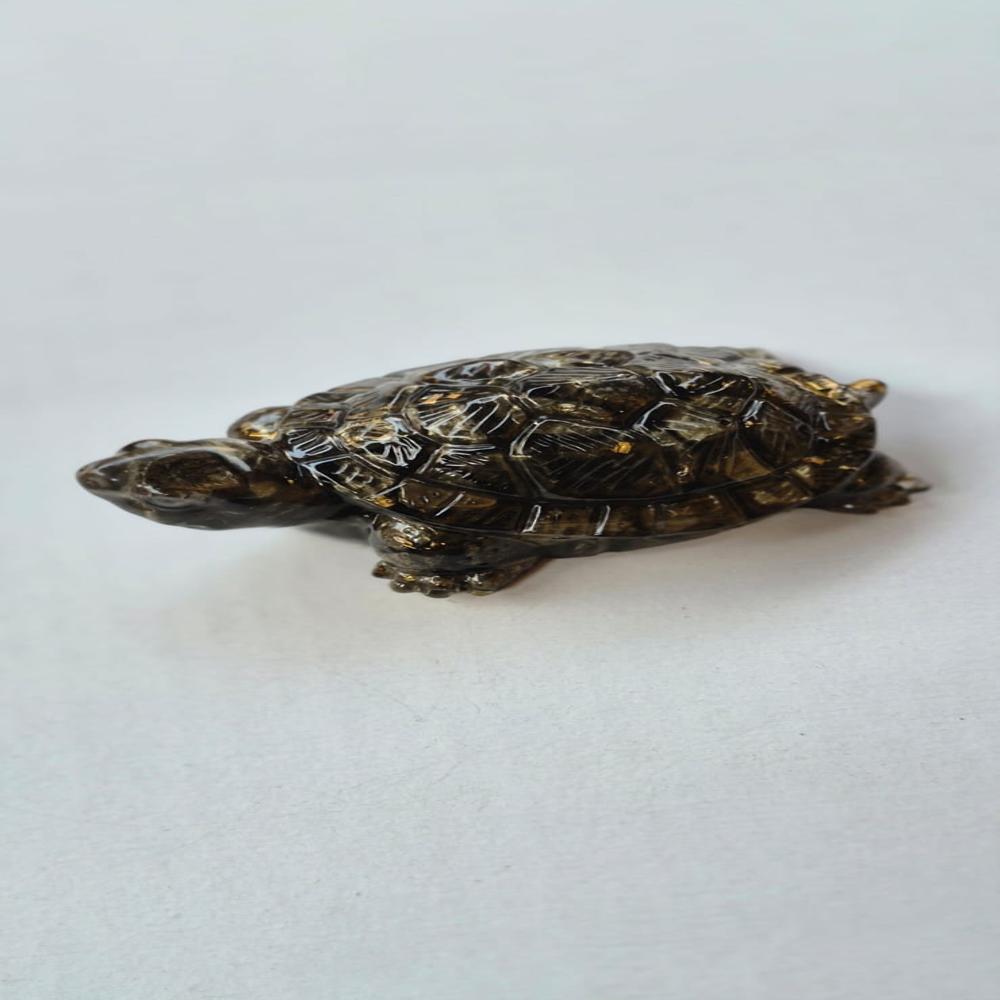 Vastu Pyrite turtle kachua