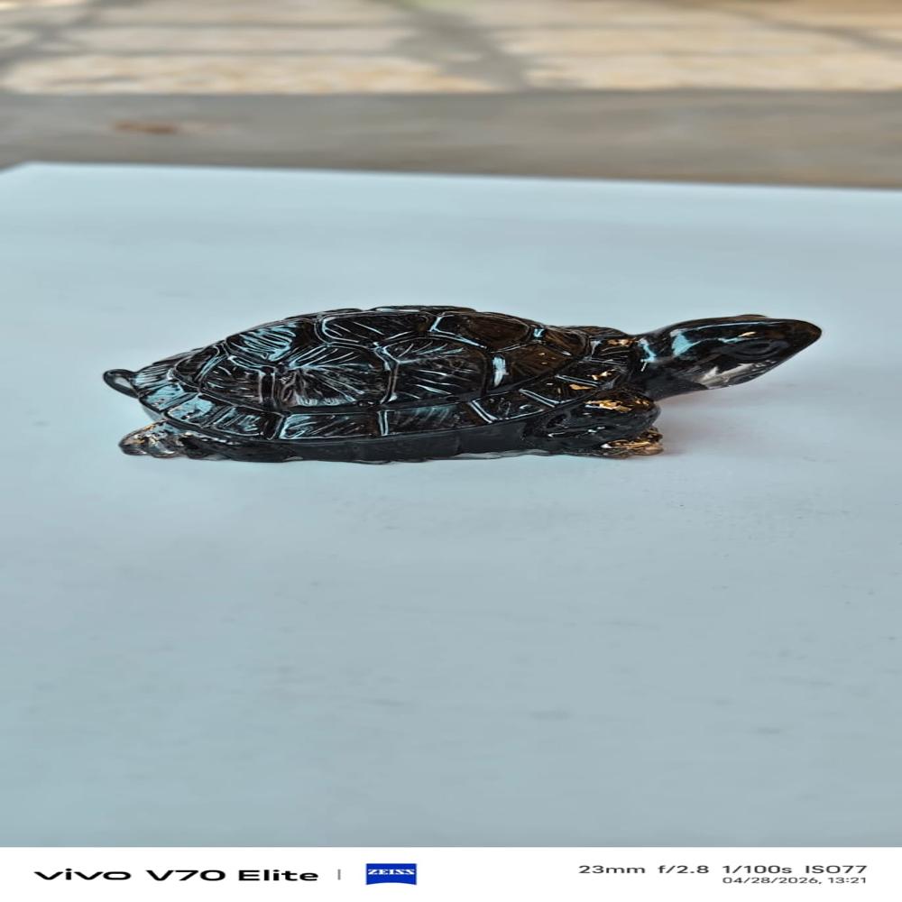 Vastu Pyrite turtle kachua