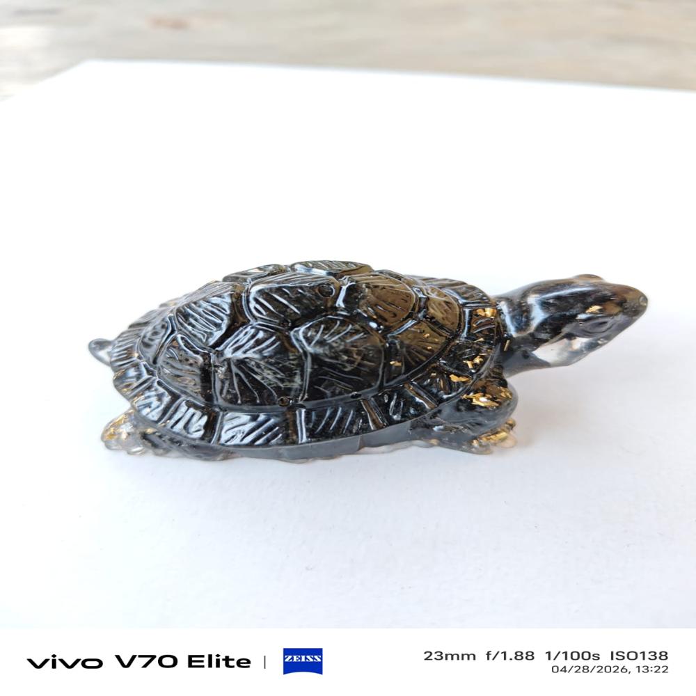 Vastu Pyrite turtle kachua
