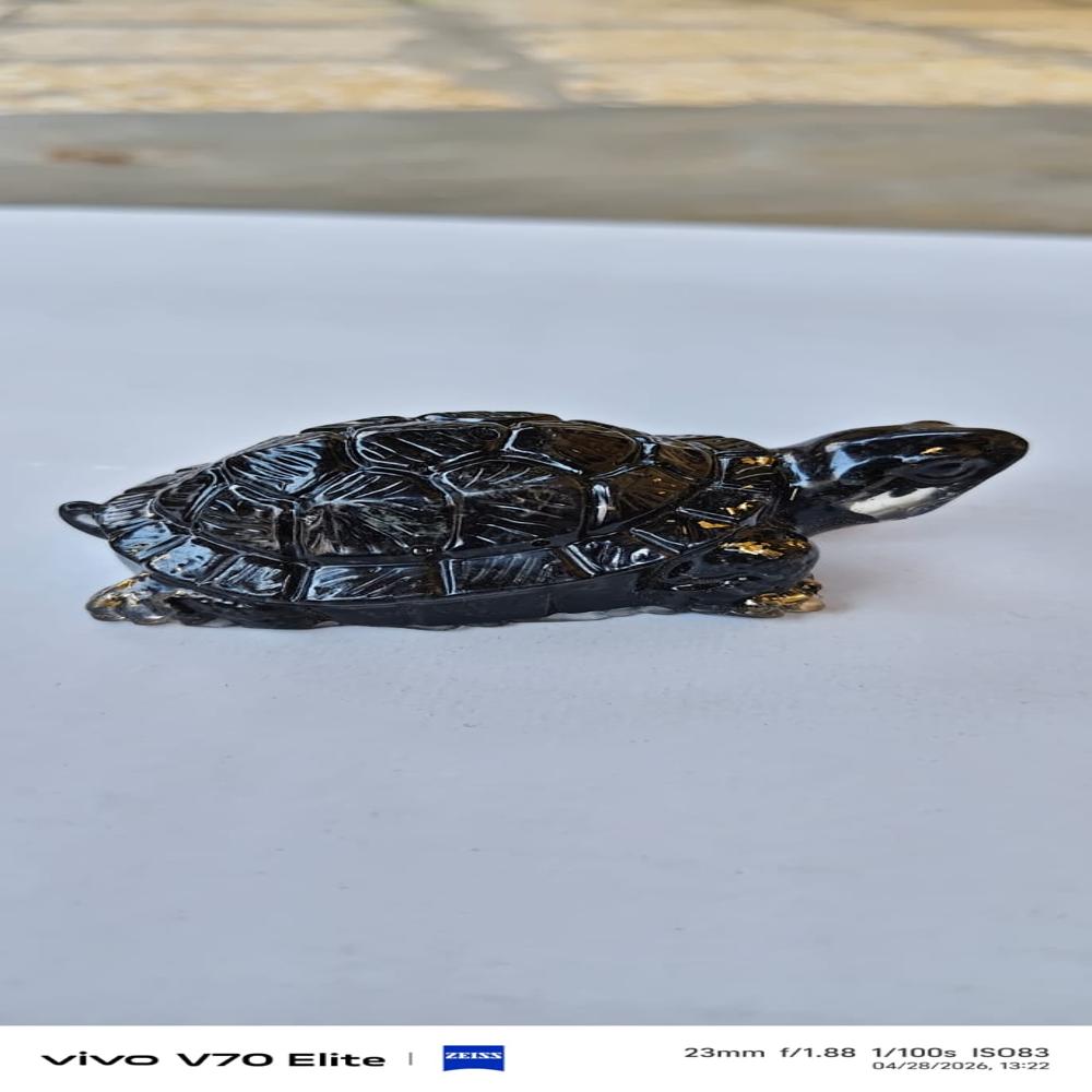Vastu Pyrite turtle kachua