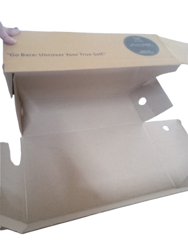 Kraft Self Lock Box