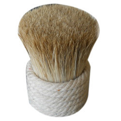 Indian White Bristle