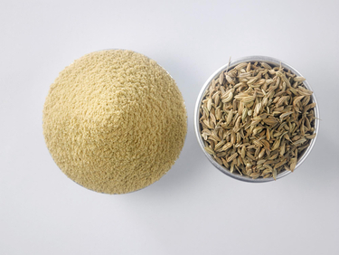 Fennel Powder