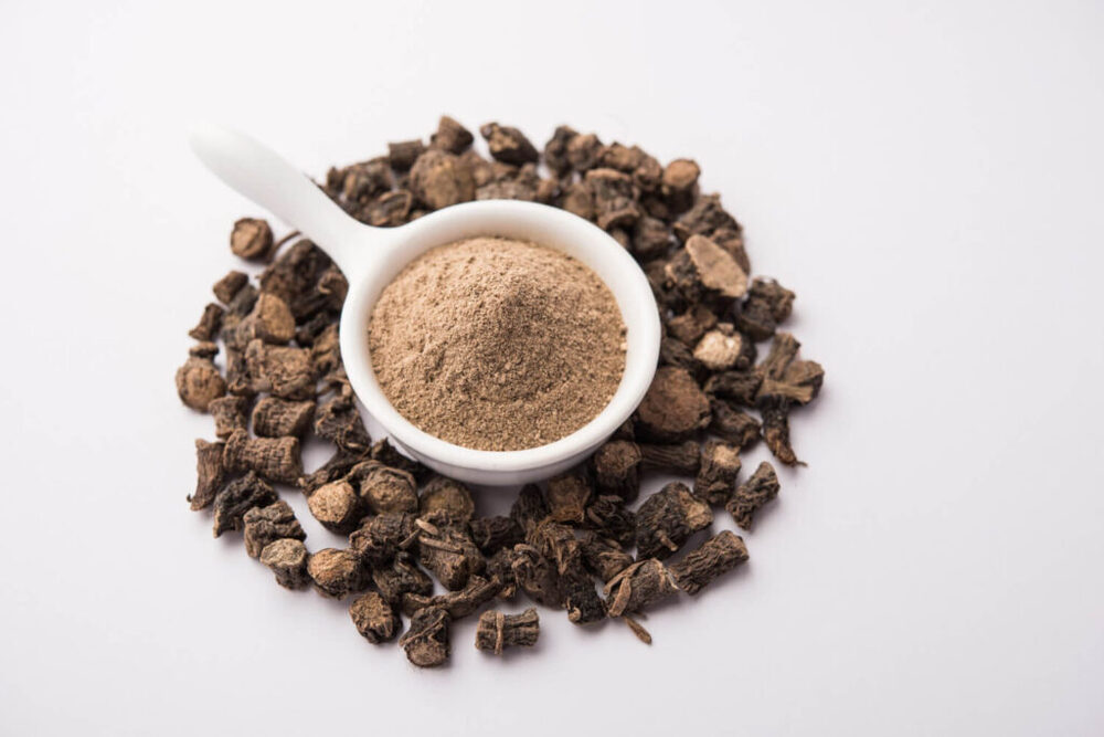 Shikakai Powder