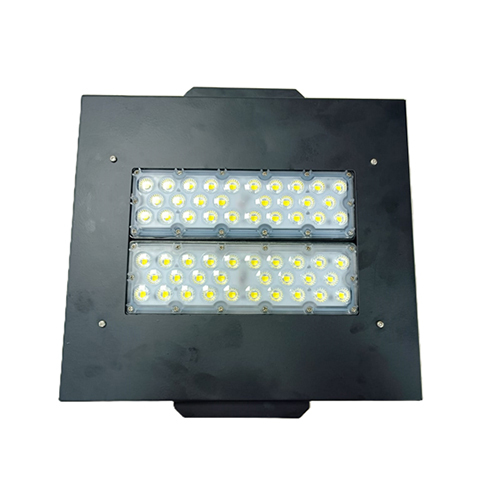 Canopy Flood Light