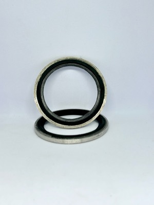 Dowty Seal