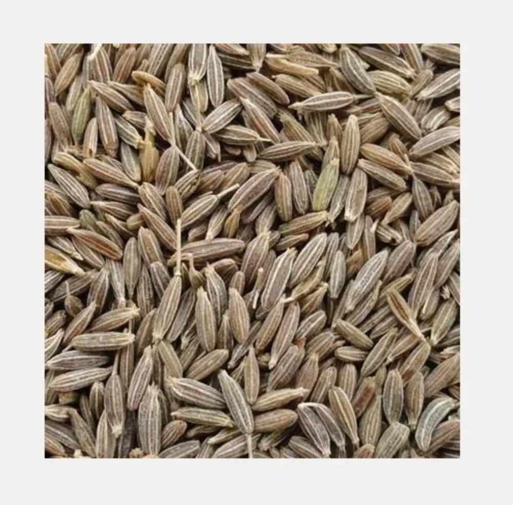Cumin Seeds - Food Grade, Brown Color | Shelf Life: Up To 24 Months, Store In Dry Place, Order In Any Required Weight