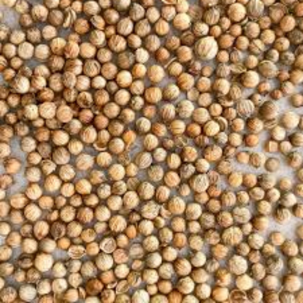 Coriander Seeds Products