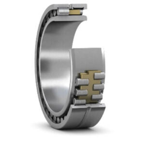 Double Row Cylindrical Roller Bearings