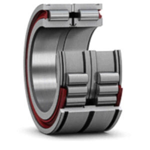 Double Row Full Complement Cylindrical Roller Bearings