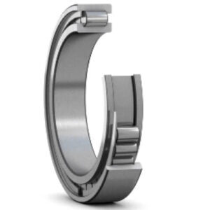 Single Row Full Complement Cylindrical Roller Bearings