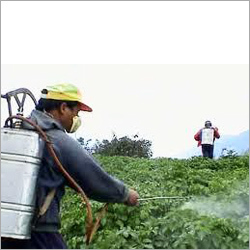 Pesticides