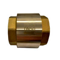 Cn3328 Brass Spring Check Valve