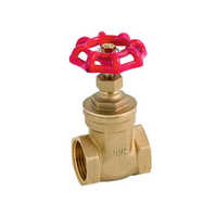 Cn5281 Brass Gate Valve