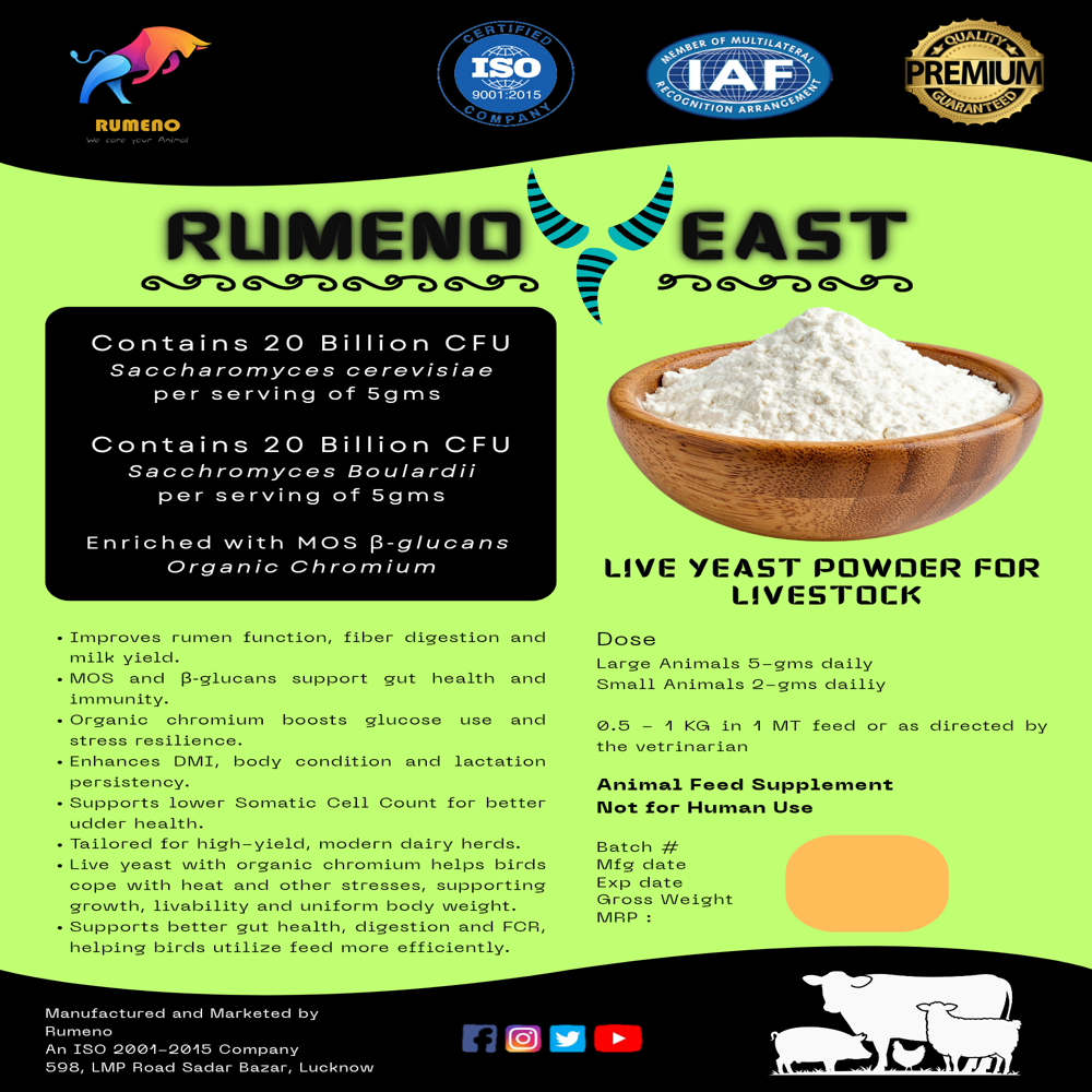 Live yeast