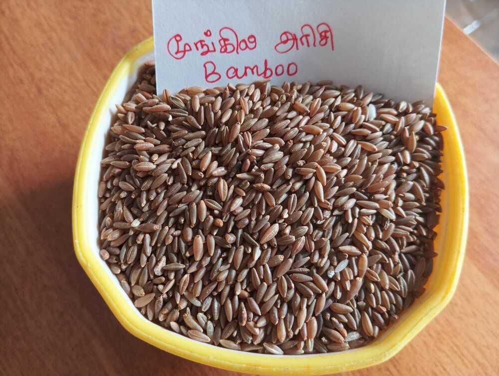 Bamboo Rice