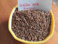 Bamboo Rice