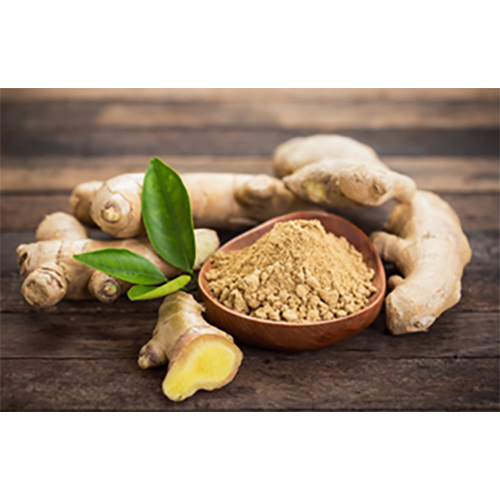 Ginger Powder - Cultivation Type: Organic
