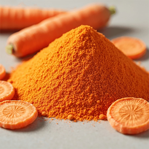 Carrot Powder - Cultivation Type: Organic