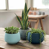 Terracotta Planters - Bottom Diameter: 3.00 Inch (in)